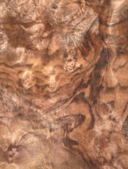 Nussbaum Wurzelholz Furnier Maser Y 29x24-26cm x 18 Blätter 