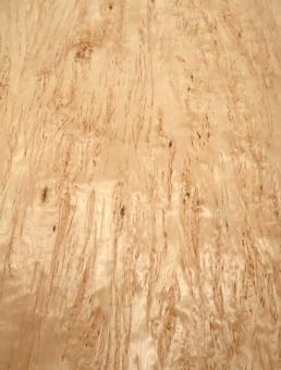 Birke Maser Holzfurnier Maserbirke D 89x48-49cm 2 Blätter 