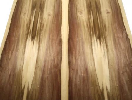 Feuertulpen Furnier Holzfurnier 245x22-31cm 2 Blätter 