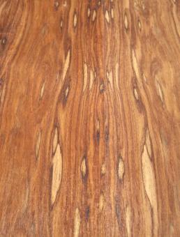 Santos Maser Palisander Furnier wild+++ 123x20,5-22cm 2 Blätter 