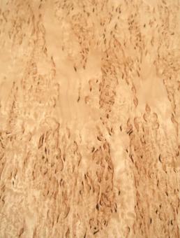 Birke Maser Holzfurnier Maserbirke 79x30-32cm 2 Blätter 