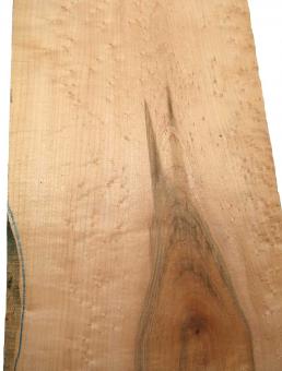 Vogelaugenahorn Holz Vogelaugen Tonholz 55x24,5cm x 47mm 