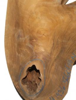 Teak wilde Baumscheibe Teakholz 74x19-36cm x 56-60mm 