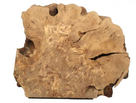 Oliven Wurzelholz Baumscheibe wild 42x38cm x 50mm 