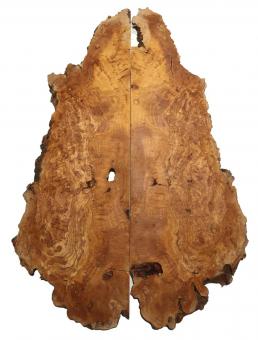 2x Oliven Wurzelholz Holz ++++ 93x9-32cm x 23-24mm #E7 