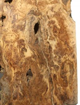Oliven Wurzelholz Maserholz ++++ 51x40cm x 35-37mm 