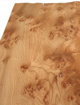 Rüster Maser Furnierholz Wurzelholz 78x35-36cm 4 Blätter 