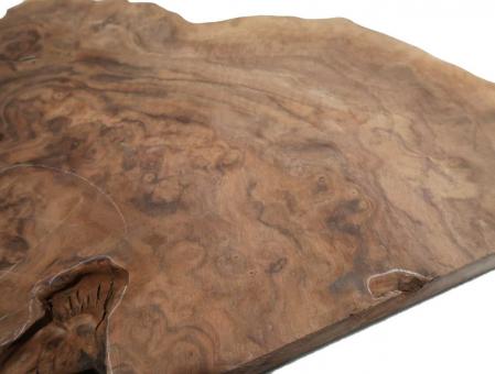 Nussbaum Wurzelholz Maser Baumscheibe 66x52cm x 46-48mm 
