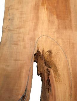 1x Apfelbaum Holz f Epoxid wormy 83x35-51cm x 45-48mm 