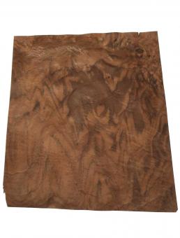 Nussbaum Wurzelholz Furnier Maser 35x31-35cm 19 Blätter 