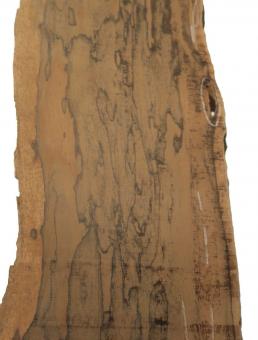 1x Ziricote Holz Zirikote 87x15-25cm x 15-26mm 