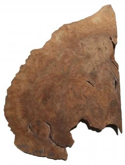 1x Nussbaum Wurzelholz Maser Baumscheibe 64x43cm x 50mm 