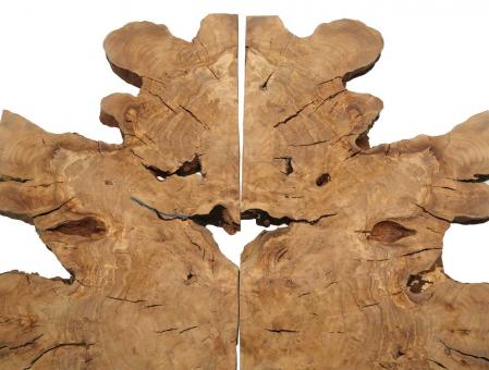 2x Oliven Wurzelholz f Epoxid Holz 59x12-30cm x 21-22mm #A2 