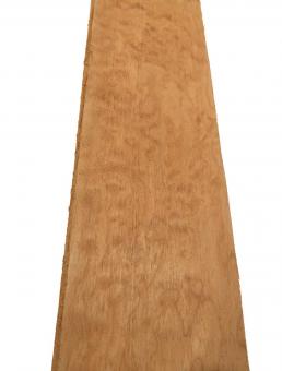 1x Muschel Ahorn Quilted Maple Tonholz 75x15,5cm x 49-50mm 