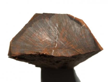 Schlangenholz Snakewood 34x13-14cm x 65-80mm #S3 