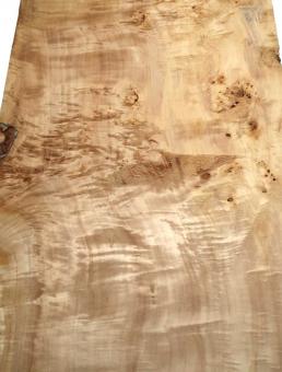Pappel Maser Mapa Baumscheibe 109x44-49cm x 58-62mm 