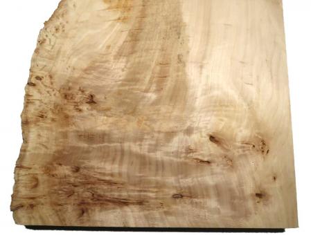 1x Pappel Maser Mapa Baumscheibe 89x40-50cm x 60-61mm 