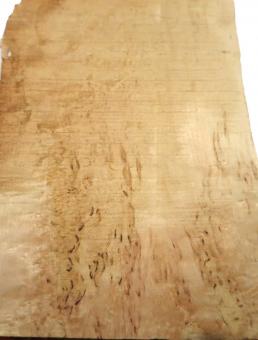 Birke Maser Holz Maserbirke Tonholz 52x15-23cm x 30mm 