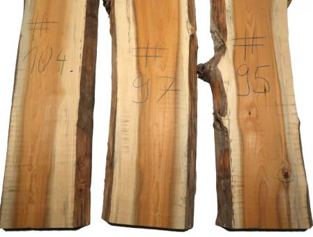 1x Eibe Holz Eibenholz rustikal 95x23-29cm x 47-48mm #95 