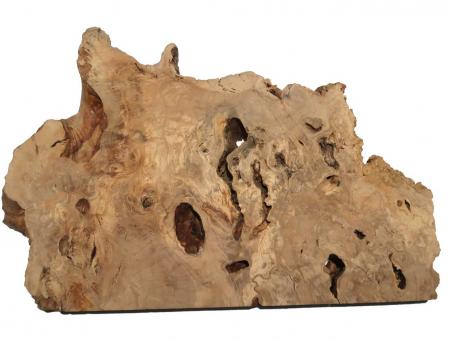 1x Oliven Wurzelholz Olivenbaum Maser Holz 64x16-43cm x 38-40mm 