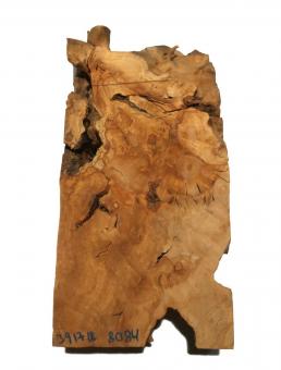 Oliven Wurzelholz Maserholz 39x17-18cm x 80-84mm 