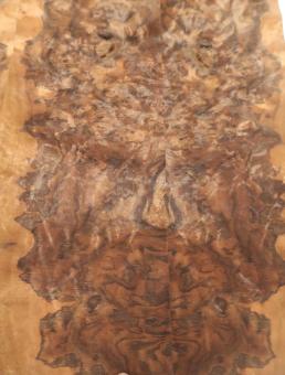Nussbaum Wurzelholz Furnier Intarsien 66x19-20cm 7 3/4 Blätter 