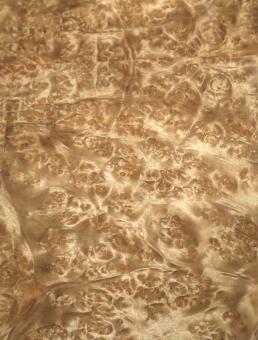 Golden Madrona Wurzelholz Furnierholz A 38x23cm 4 Blätter 