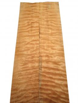 Muschel Ahorn Furnier Quilted Maple 64x13-15,5cm 7 3/4 Blätter 