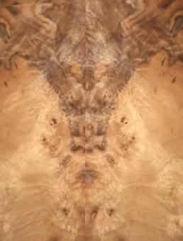 Nussbaum Wurzelholz Furnier Intarsien 30x14-17cm 24 Blätter 