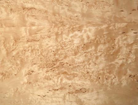 Birke Maser Holzfurnier Maserbirke 84x22-24cm 2 Blätter 