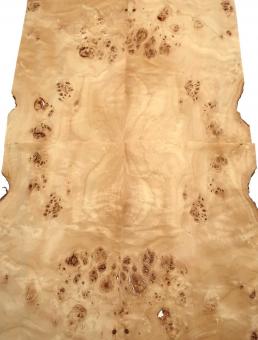 Pappel Maser Furnierholz Maserpappel 53x22-24cm 6 Blätter 
