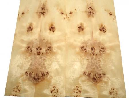 Pappel Maser Furnierholz Maserpappel 69x17-19cm 5 Blätter 