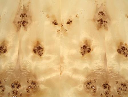 Pappel Maser Furnierholz Maserpappel 69x17-19cm 6 Blätter 