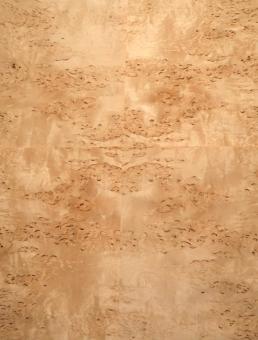 Birke Maser Holzfurnier Maserbirke 31x24-26cm 8 Blätter 