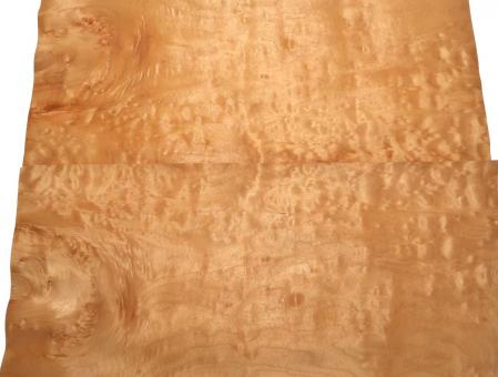 Muschel Ahorn Furnier Quilted Maple 63x28cm 2 Blätter 