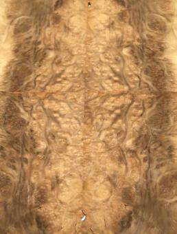 Myrte Wurzelholz Furnier Myrthe Intarsie 41x15-19cm 4 Blätter 