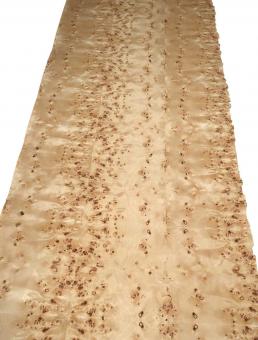 Pappel Maser Wurzelholz dünnes Furnier 252x62cm 1 Blatt #N7 