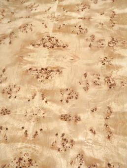 Pappel Maser Wurzelholz dünnes Furnier 126x62cm 1 Blatt #U4 