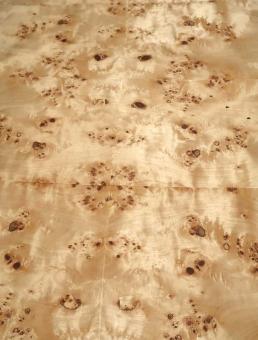 Pappel Maser Wurzelholz dünnes Furnier 252x61-62cm 1 Blatt #N9 