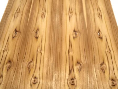 Teak Furnier Teakholz dekorativ 200x20-23cm 2 Blätter nachhaltig 