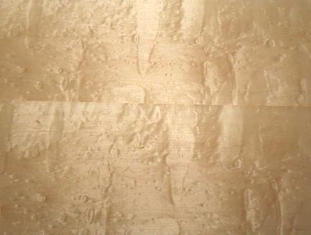 Muschel Ahorn Furnier Quilted Maple 255x22,5-23cm 1 Blatt 