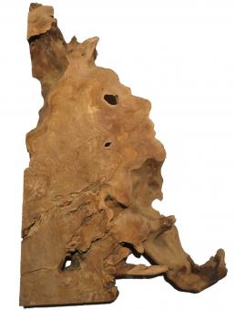 Oliven Wurzelholz Olivenbaum Maser Holz 61x36cm x 48mm Alien 