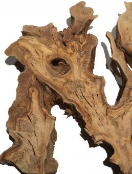 Oliven Wurzelholz Olivenbaum Holz f Epoxid 65x43cm x 48-50mm 