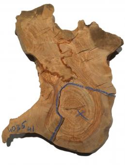 1x Oliven Wurzelholz Olivenbaum Holz f Epoxid 40x35cm x 41mm 