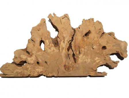 2x Oliven Wurzelholz Olivenbaum Holz f Epoxid 35-40x34-37cm x 45-50mm #R2 