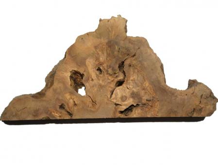 1x Oliven Wurzelholz Olivenbaum Holz f Epoxid 56x26cm x 52-54mm 
