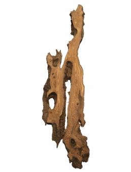 1x Oliven Wurzelholz Holz f Epoxid 115x7-37cm x 53-55mm Drachen 