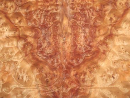 Kampher Wurzelholz Furnier Kampfer Holz 37x20-25cm 4 Blätter 
