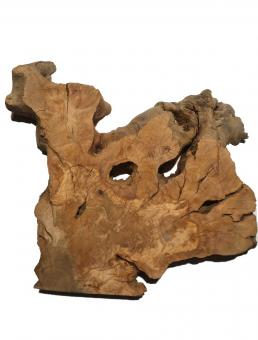 1x Oliven Wurzelholz Olivenbaum Holz f Epoxid 48x47cm x 54mm 