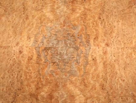 Korallen Wurzelholz Furnier Maser 51x32-38cm 2 Blätter 